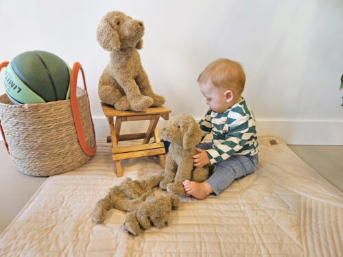 Dog Brownie Tuttle - Afbeelding 2